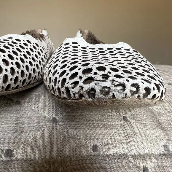 Chloe Lauren White Laser Cut Leather Ballet Flats Women EU 39 US 8.5 - 9 Scallop