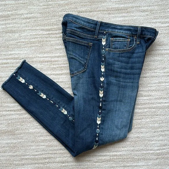 Driftwood Jackie Chevron Embroidered Boho Raw Edge Hem Skinny Jeans Size 28