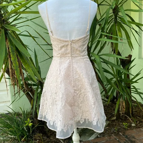 Keepsake The Label Revolve Blush Pink Lace Dress