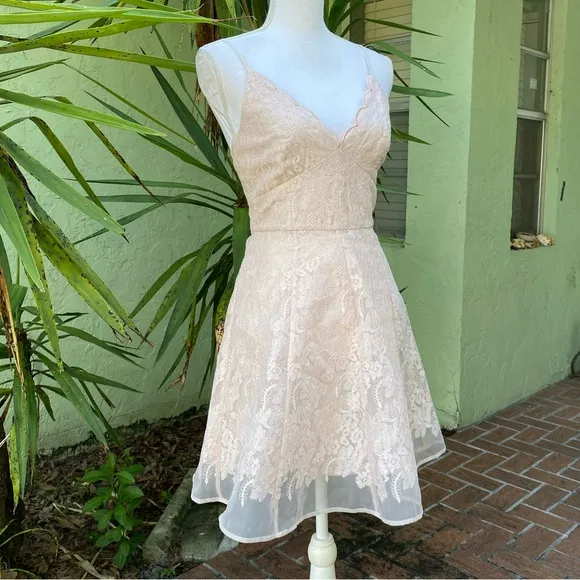 Keepsake The Label Revolve Blush Pink Lace Dress