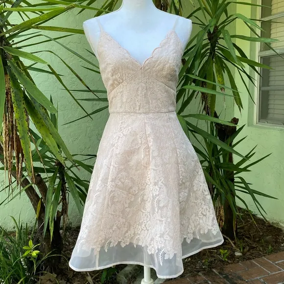 Keepsake The Label Revolve Blush Pink Lace Dress