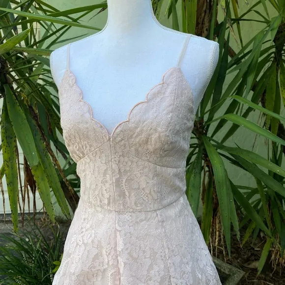 Keepsake The Label Revolve Blush Pink Lace Dress