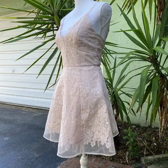 Keepsake The Label Revolve Blush Pink Lace Dress