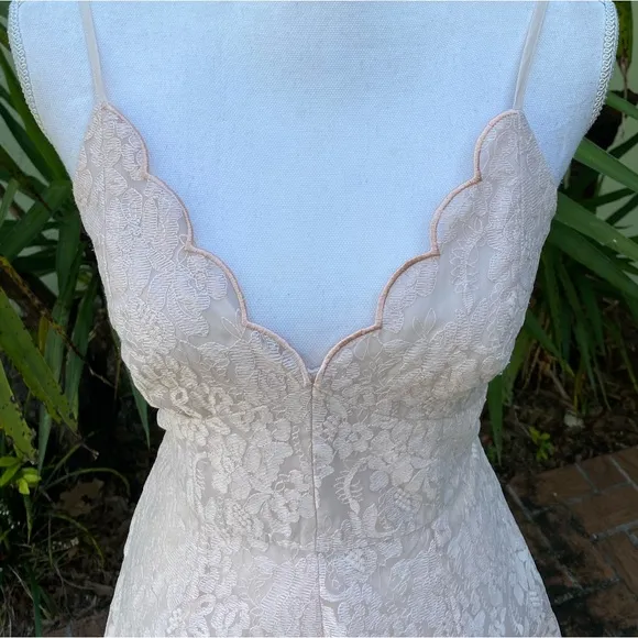 Keepsake The Label Revolve Blush Pink Lace Dress