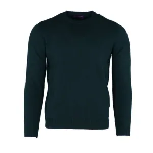NEW SEAWARD &amp; STEARN men's merino crewneck sweater in emerald
