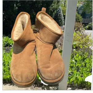 UGG Mini Chestnut Boots