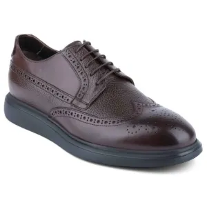 VELLAPAIS Mare Leather Wingtip Sneakers Shoes Size 12 Dark Brown NEW