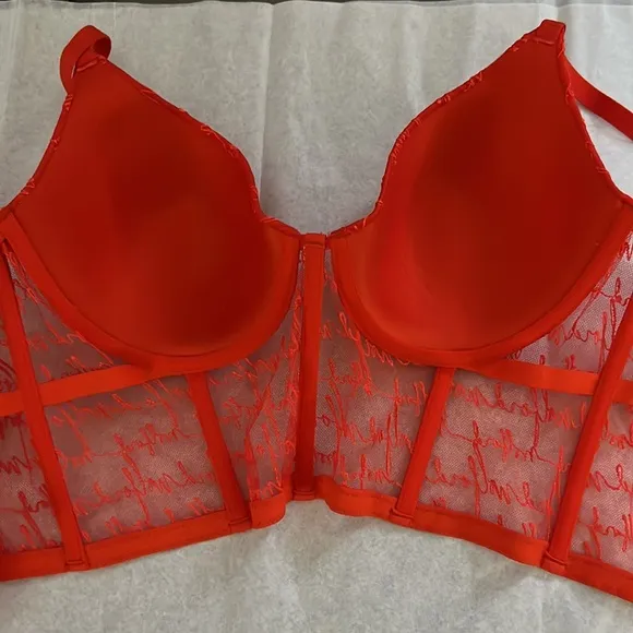 Wolford Logo Obsessed Bustier Bra.