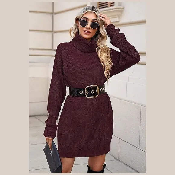Women's Loose Turtleneck Oversize Long Pullover Sweater Dress Y - Dark Red