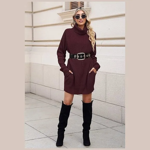 Women's Loose Turtleneck Oversize Long Pullover Sweater Dress Y - Dark Red