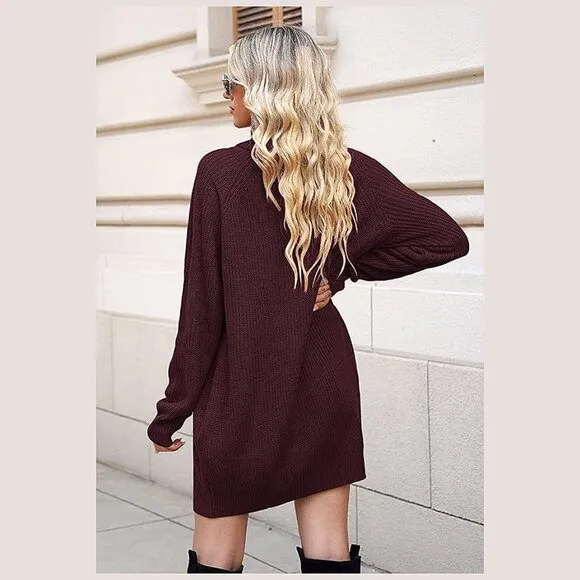 Women's Loose Turtleneck Oversize Long Pullover Sweater Dress Y - Dark Red